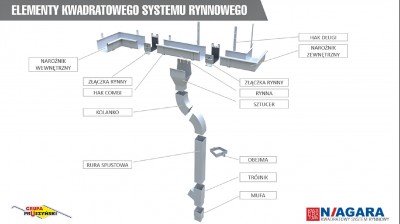 Niagara kwadratowa - drzewko.jpg