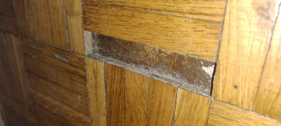 IMG_20260317_232928338.jpg