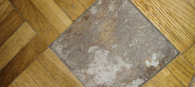 IMG_20260318_001000804.jpg