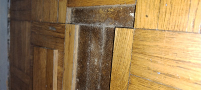 IMG_20260317_233415569.jpg