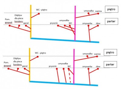 Pion różowy - czy potrzebny?