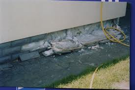 papa na fundamencie.jpg