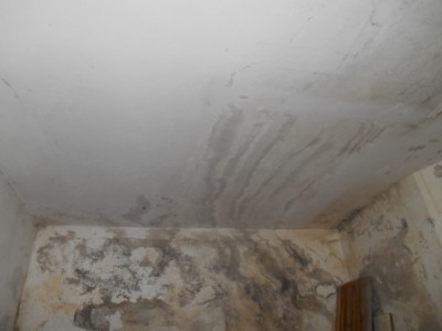 sufit pod werandą.jpg