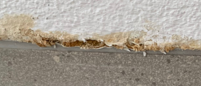 Zrzut ekranu 2021-01-05 115136.png