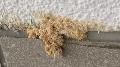 Zrzut ekranu 2021-01-05 115219.png