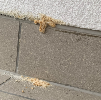 Zrzut ekranu 2021-01-05 115512.png