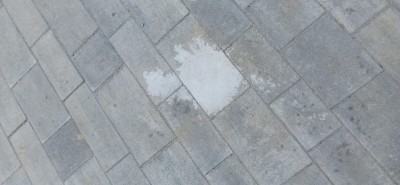 IMG_20220214_070944 (1).jpg