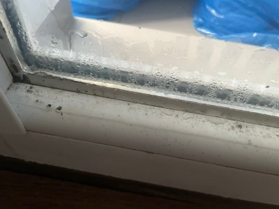 WhatsApp Image 2023-12-12 at 09.41.55.jpeg