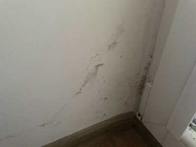 WhatsApp Image 2023-12-12 at 09.41.58.jpeg