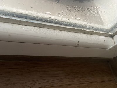 WhatsApp Image 2023-12-12 at 09.42.02.jpeg