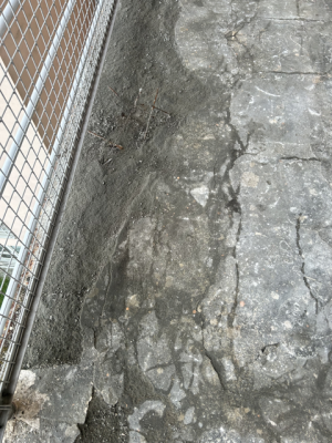 IMG_2744 Średni.png