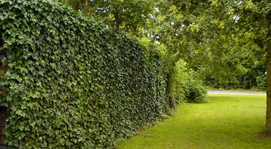 ekrany akustyczne ozdobne.jpg