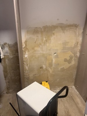 457628294_494792886779726_9050137619141213599_n (1).jpg